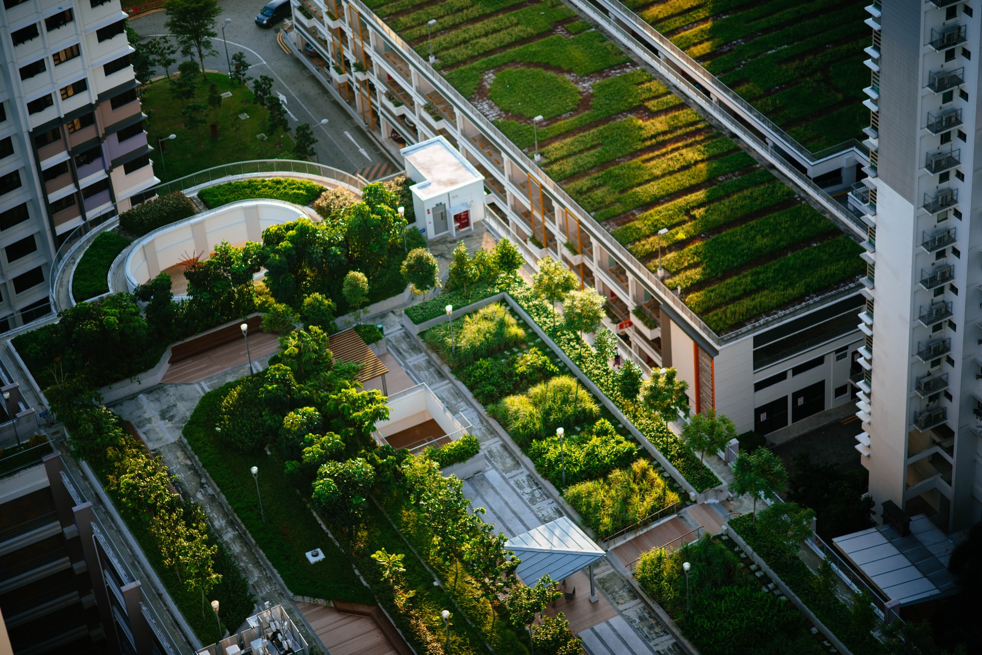 Urban Gardening