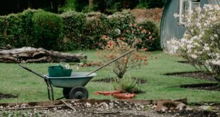 Es gibt viele Mittel und Wege, wie Sie Ihren Garten sicherer gestalten können, also fangen Sie direkt an.