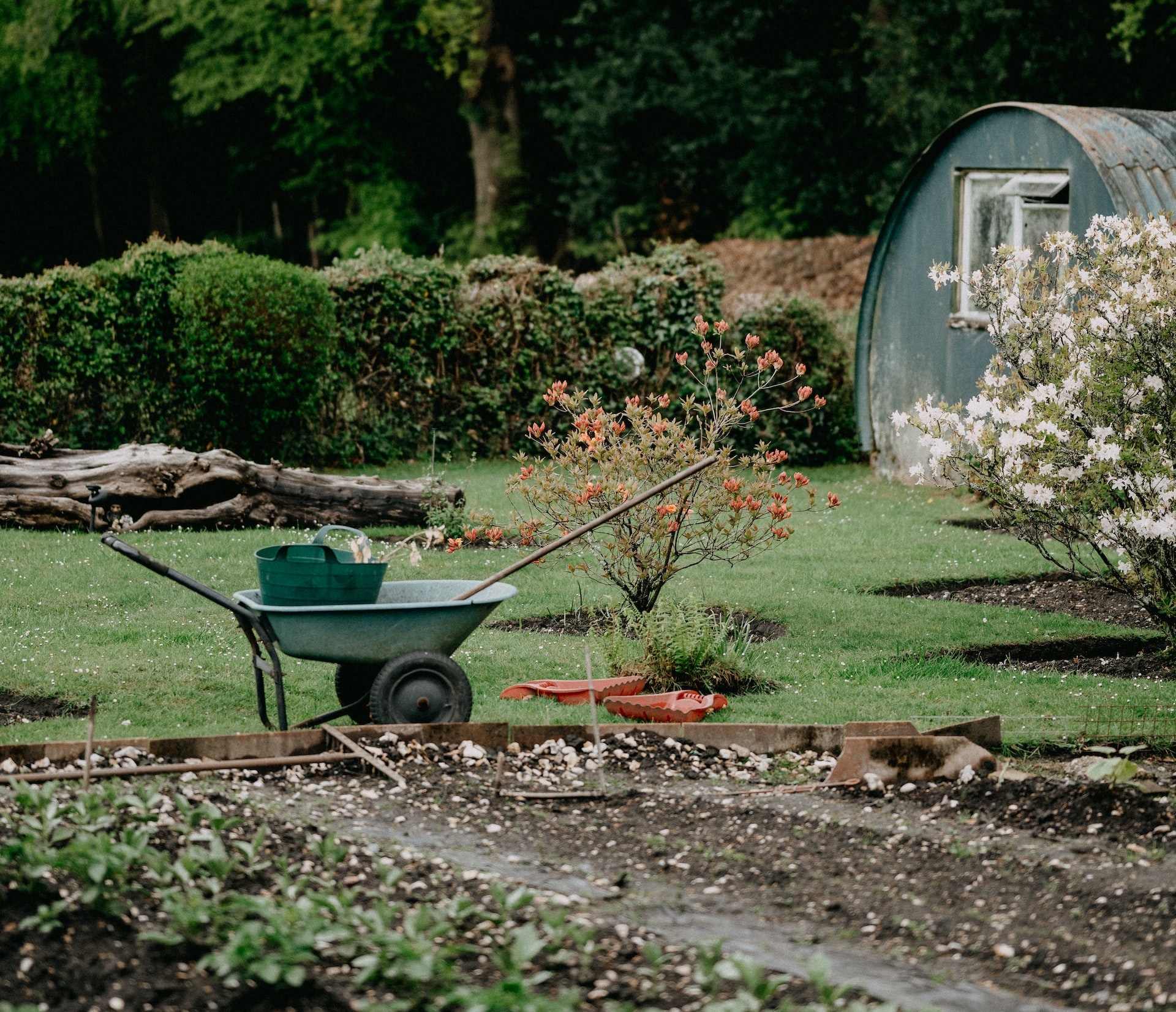 Es gibt viele Mittel und Wege, wie Sie Ihren Garten sicherer gestalten können, also fangen Sie direkt an.