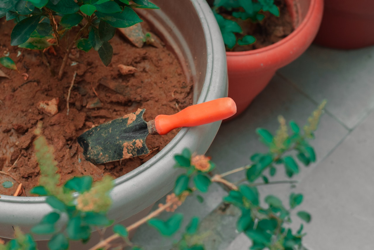 Gartengestaltung