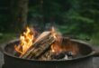 Feuerstelle