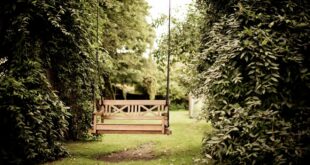 Gartenpflege