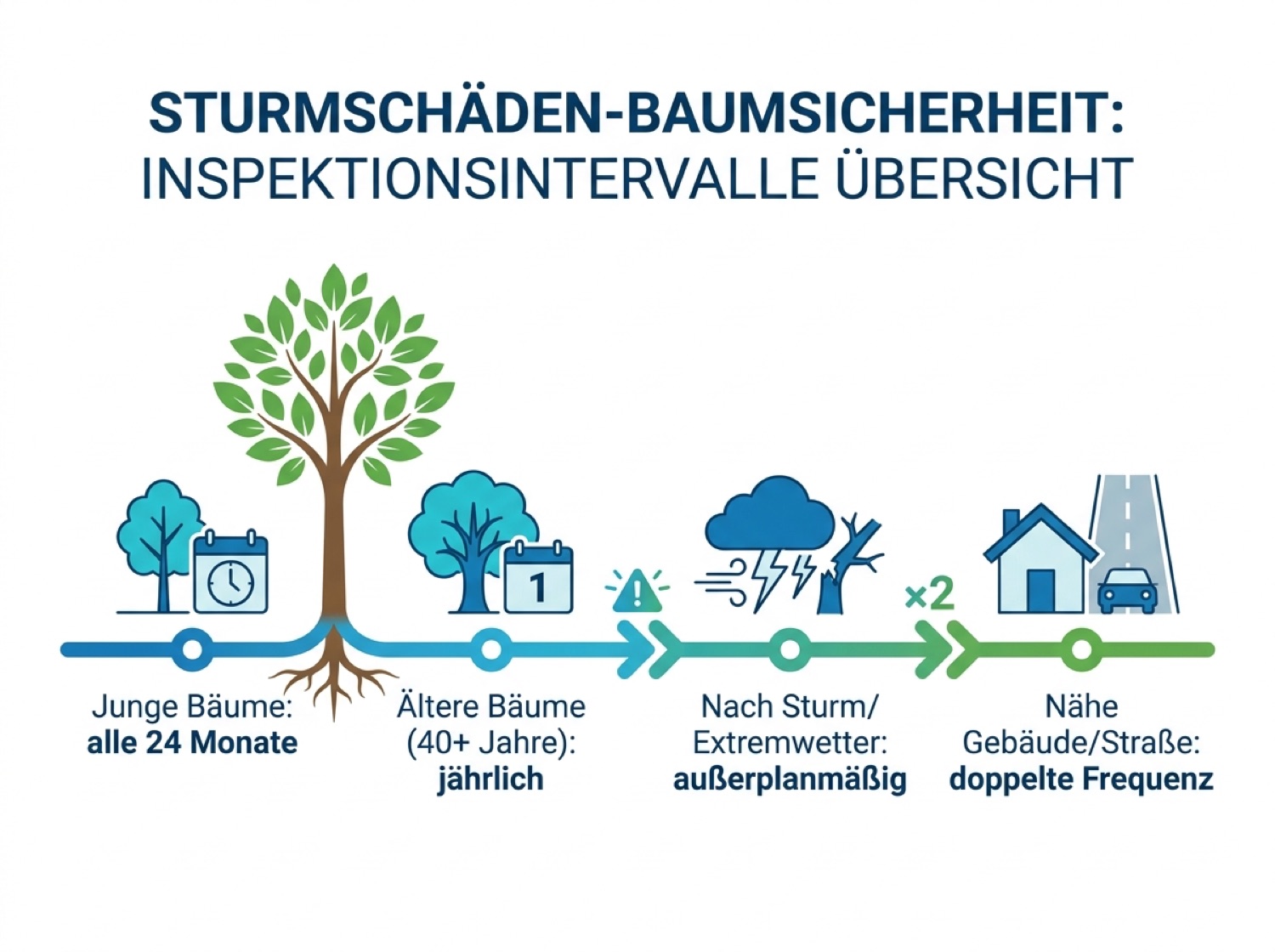 Kontrollintervalle für Gartenbäume nach Alter und Standort im Überblick